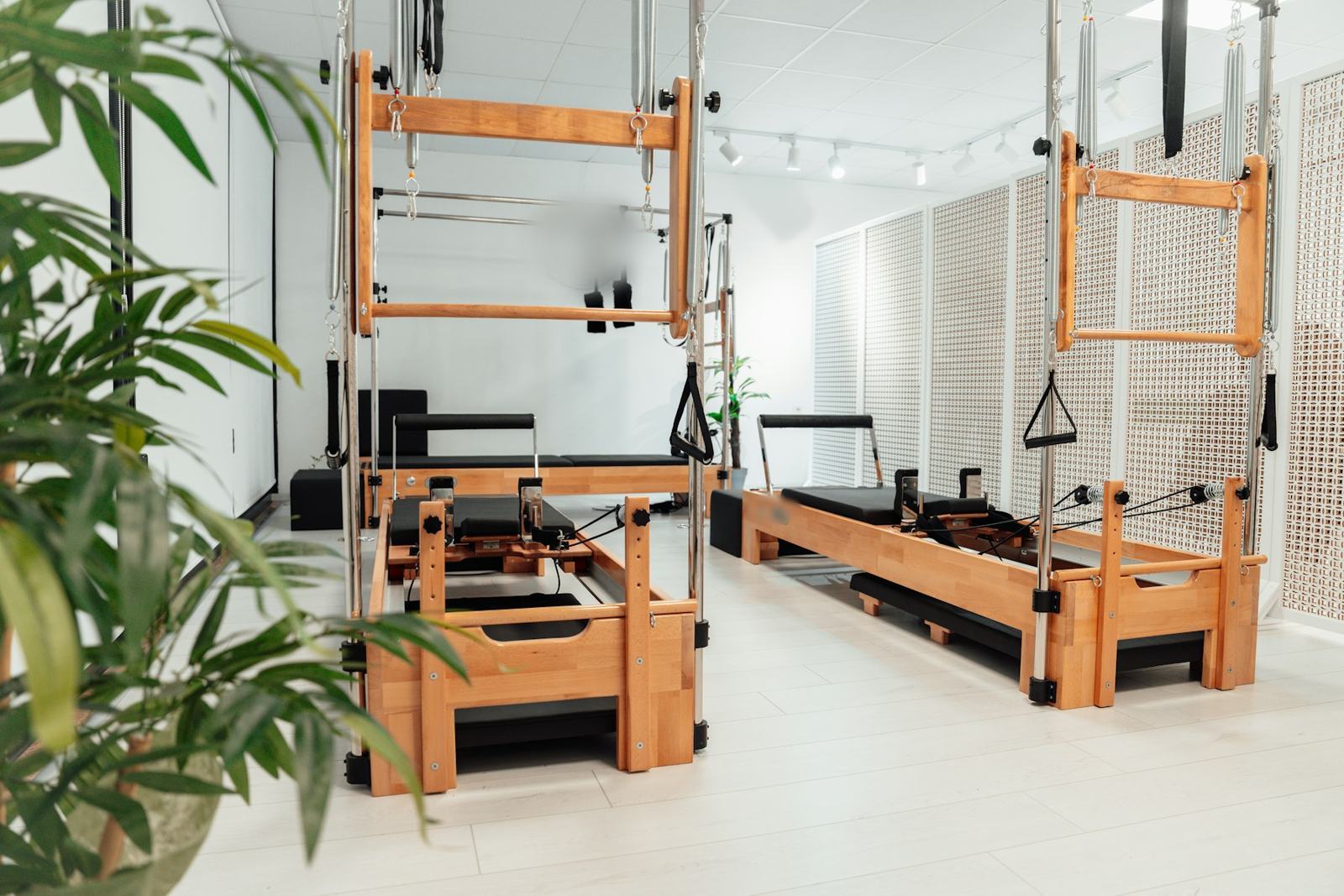 Close view of two timber reformers with tower frames and hanging straps, a leafy plant in the foreground
