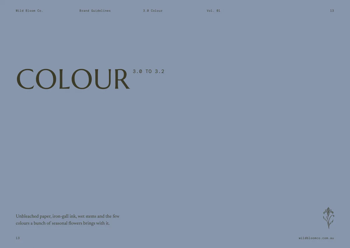 Wild Bloom Co. brand guidelines: Colour